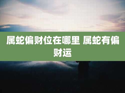 属蛇偏财位在哪里 属蛇有偏财运