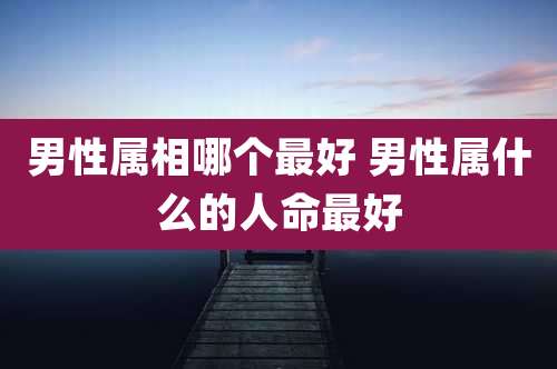 男性属相哪个最好 男性属什么的人命最好