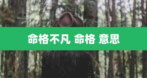 命格不凡 命格 意思