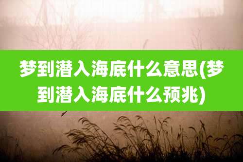 梦到潜入海底什么意思(梦到潜入海底什么预兆)