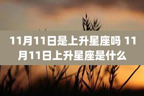 11月11日是上升星座吗 11月11日上升星座是什么