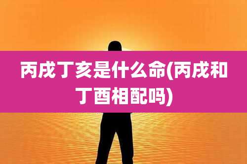 丙戌丁亥是什么命(丙戌和丁酉相配吗)