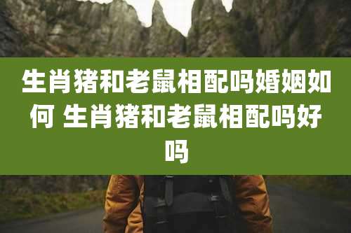 生肖猪和老鼠相配吗婚姻如何 生肖猪和老鼠相配吗好吗