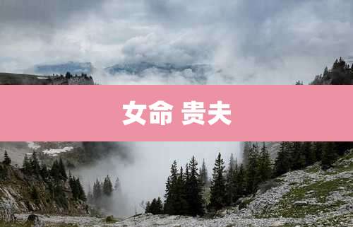 女命 贵夫