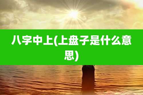 八字中上(上盘子是什么意思)