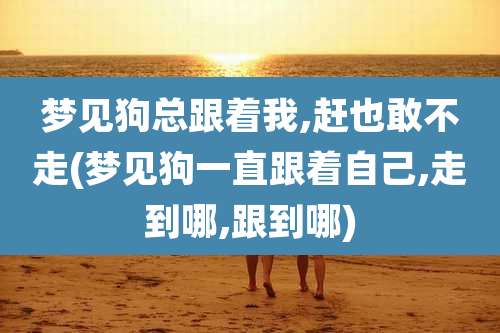 梦见狗总跟着我,赶也敢不走(梦见狗一直跟着自己,走到哪,跟到哪)