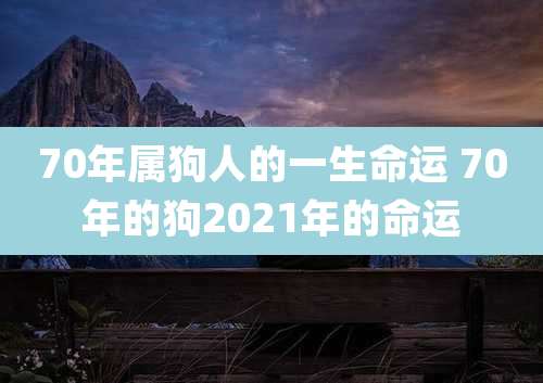 70年属狗人的一生命运 70年的狗2021年的命运