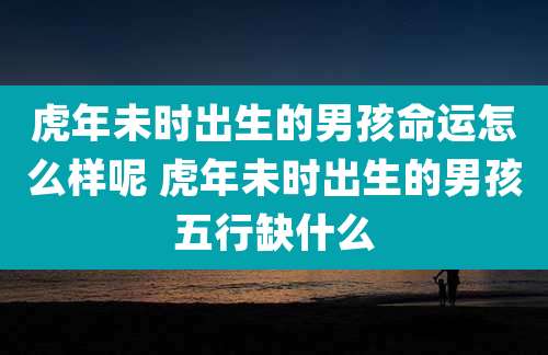 虎年未时出生的男孩命运怎么样呢 虎年未时出生的男孩五行缺什么