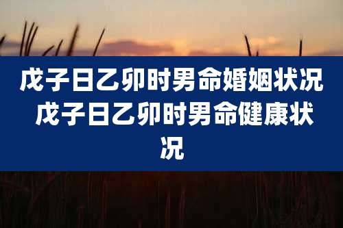 戊子日乙卯时男命婚姻状况 戊子日乙卯时男命健康状况