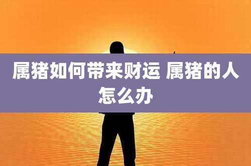 属猪如何带来财运 属猪的人怎么办