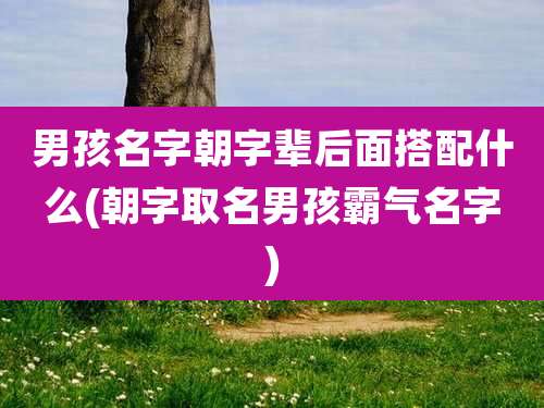 男孩名字朝字辈后面搭配什么(朝字取名男孩霸气名字)