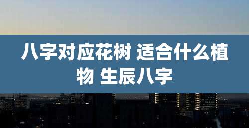 八字对应花树 适合什么植物 生辰八字