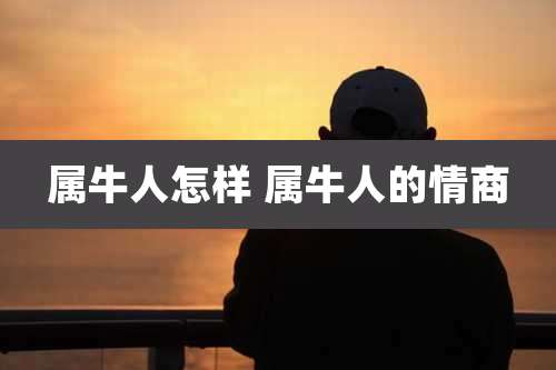 属牛人怎样 属牛人的情商