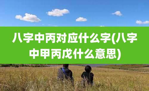 八字中丙对应什么字(八字中甲丙戊什么意思)