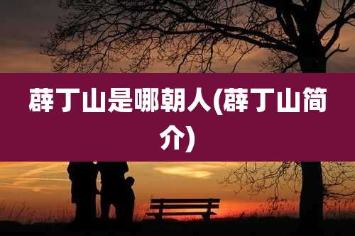 薜丁山是哪朝人(薜丁山简介)