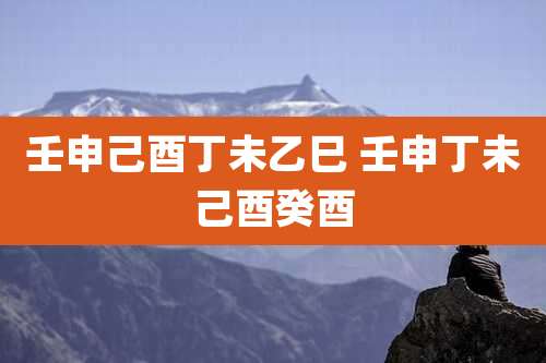 壬申己酉丁未乙巳 壬申丁未己酉癸酉