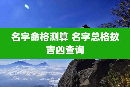 名字命格测算 名字总格数吉凶查询
