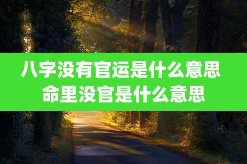 八字没有官运是什么意思 命里没官是什么意思