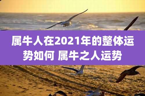 属牛人在2021年的整体运势如何 属牛之人运势