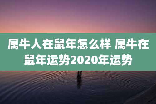 属牛人在鼠年怎么样 属牛在鼠年运势2020年运势