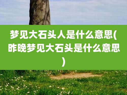 梦见大石头人是什么意思(昨晚梦见大石头是什么意思)