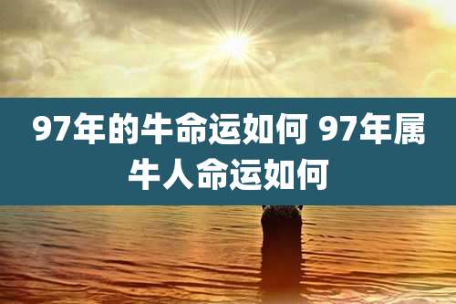 97年的牛命运如何 97年属牛人命运如何