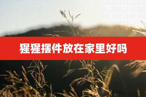 猩猩摆件放在家里好吗