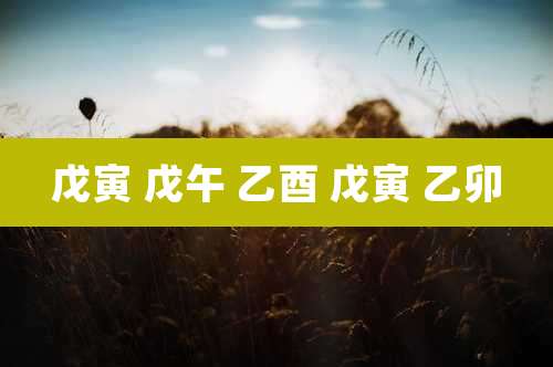 戊寅 戊午 乙酉 戊寅 乙卯