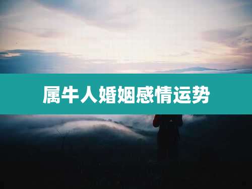 属牛人婚姻感情运势