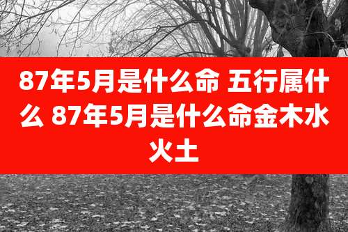 87年5月是什么命 五行属什么 87年5月是什么命金木水火土