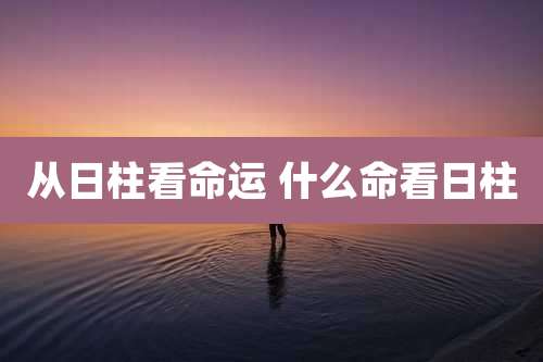 从日柱看命运 什么命看日柱