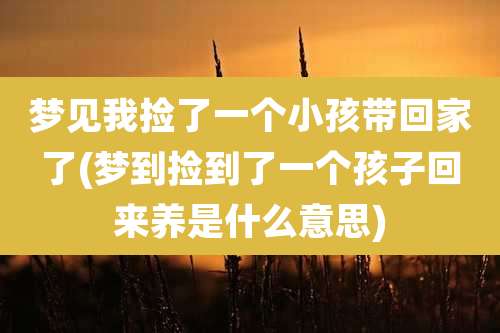 梦见我捡了一个小孩带回家了(梦到捡到了一个孩子回来养是什么意思)