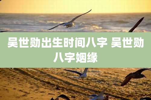 吴世勋出生时间八字 吴世勋八字姻缘