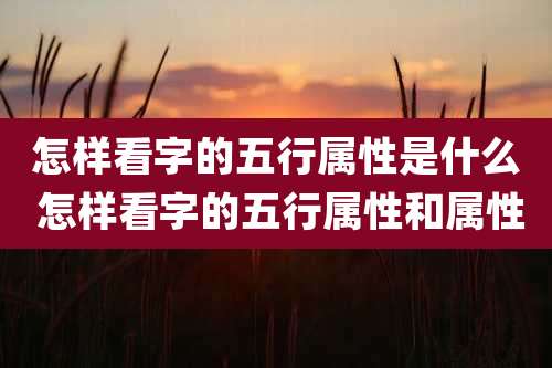 怎样看字的五行属性是什么 怎样看字的五行属性和属性