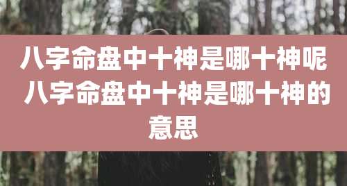 八字命盘中十神是哪十神呢 八字命盘中十神是哪十神的意思