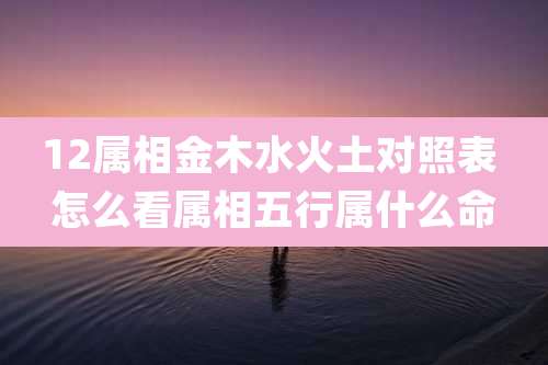 12属相金木水火土对照表 怎么看属相五行属什么命