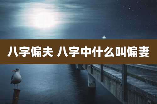 八字偏夫 八字中什么叫偏妻