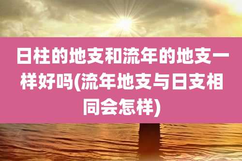 日柱的地支和流年的地支一样好吗(流年地支与日支相同会怎样)