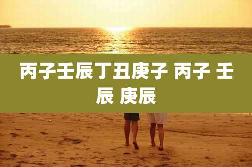 丙子壬辰丁丑庚子 丙子 壬辰 庚辰