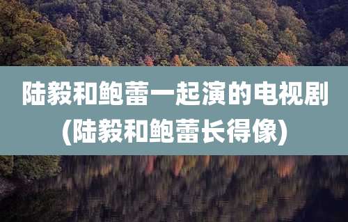 陆毅和鲍蕾一起演的电视剧(陆毅和鲍蕾长得像)