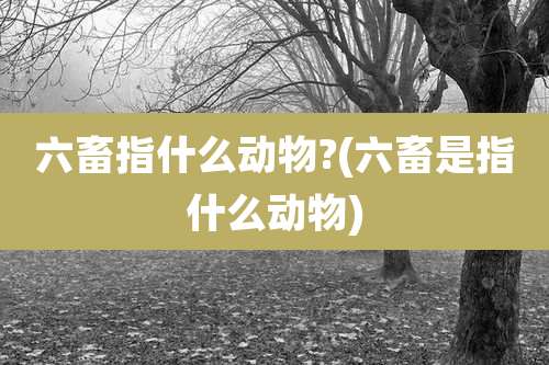 六畜指什么动物?(六畜是指什么动物)