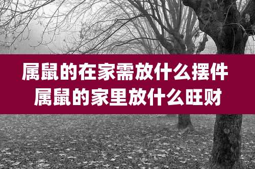 属鼠的在家需放什么摆件 属鼠的家里放什么旺财