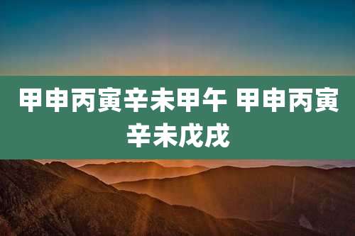 甲申丙寅辛未甲午 甲申丙寅辛未戊戌