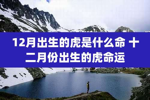 12月出生的虎是什么命 十二月份出生的虎命运