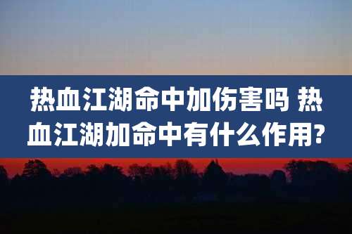 热血江湖命中加伤害吗 热血江湖加命中有什么作用?