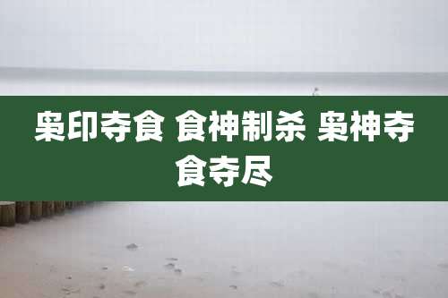 枭印夺食 食神制杀 枭神夺食夺尽