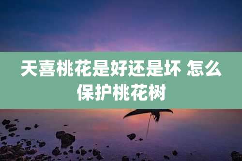 天喜桃花是好还是坏 怎么保护桃花树