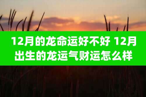12月的龙命运好不好 12月出生的龙运气财运怎么样