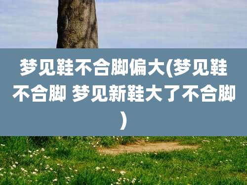 梦见鞋不合脚偏大(梦见鞋不合脚 梦见新鞋大了不合脚)