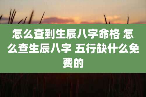 怎么查到生辰八字命格 怎么查生辰八字 五行缺什么免费的
